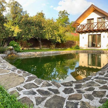 Вілла Бовч Yaremche Ngoại thất bức ảnh